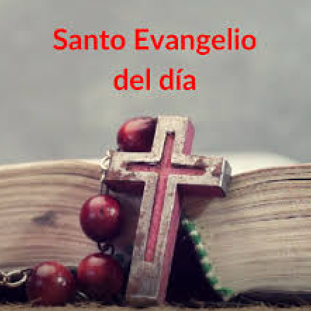 Evangelio del da